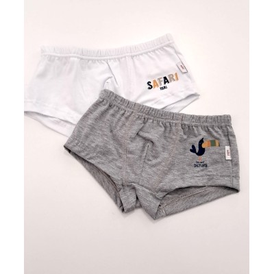 Coppia di boxer Safari Noibel