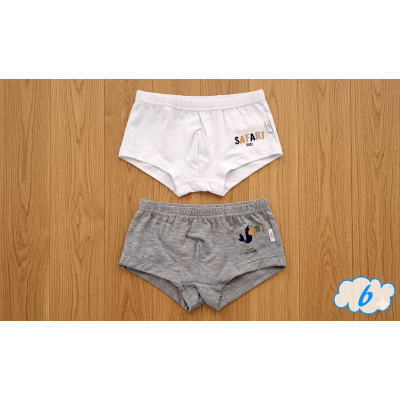 Coppia di boxer Safari Noibel