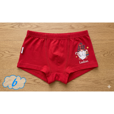 Boxer Gnomo Noibel