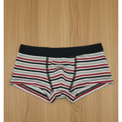Boxer skate Noibel