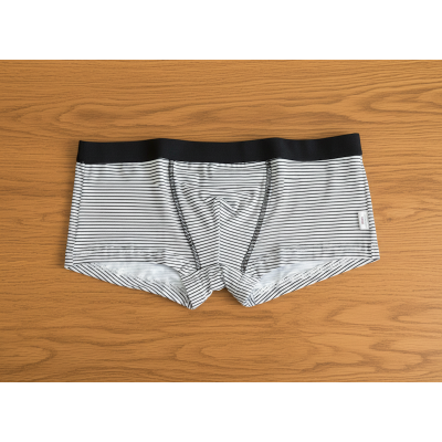 Boxer Noibel