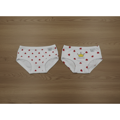 Coppia di slip Noibel