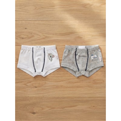 Coppia di boxer Noibel